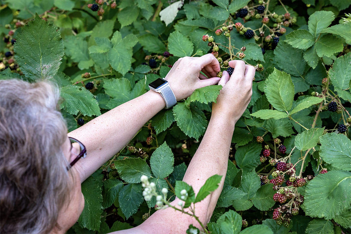 Smartwatch in der Landwirtschaft